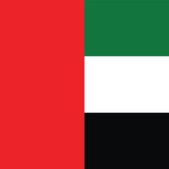 Flag of United Arab Emirates. United Arab Emirates square flag icon digital vector illustration