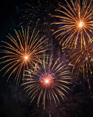 The fireworks show lights up the night, with bursts of color and light.