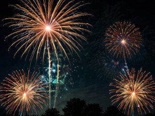 Fototapeta premium The fireworks show lights up the night, with bursts of color and light.