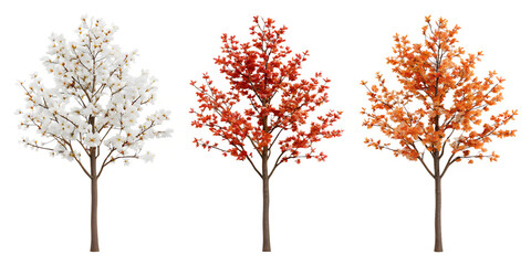 White and Red Orange Flower Tree with Blossoms for Garden and Nature Decor, PNG Transparent