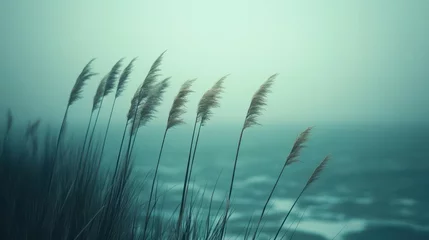 Pampas Grass on a Beach with Calm Water