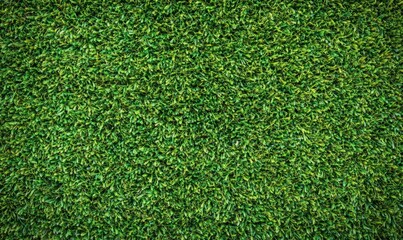 Fototapeta premium Lush green artificial grass providing a vibrant outdoor setting for recreational activities