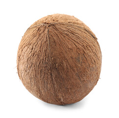 One whole coconut in shell isolated on white