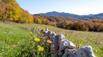 Fototapeta premium Autumnal mountain meadow with stone fence