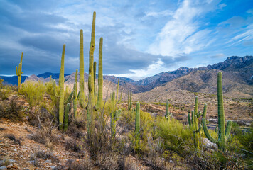 Fototapeta premium landscape of the mountains of Oro valley