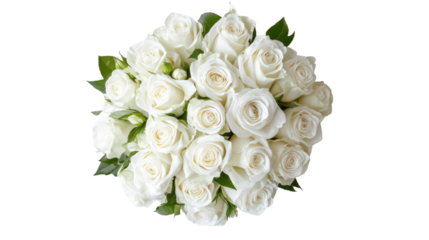 Bouquet of white roses blooming on transparent background