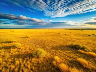 Aerial view: Argentina's pampas shimmer gold, vast grazing meadows extending to a distant horizon.