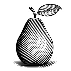 A vintage illustration of an pear on a surface with a leaf and shadow 