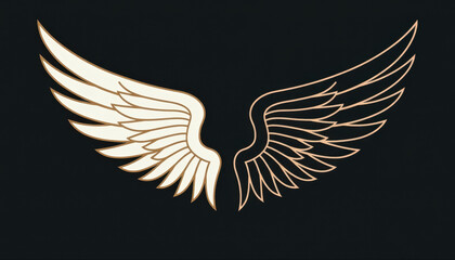Obraz premium Minimalist Angel Wing Design on Dark Background