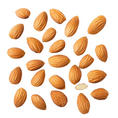 Nutritious Dried Fruit Almond PNG cutout isolated on white and transparent background. nutritious almond, dried fruit, almond PNG cutout, isolated almond, almond on white, almond on transparent,
