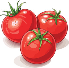 Red Tomato isolated in white background vector design, Tomato Illustration vector design