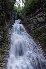 Margaret Falls loop trail with mountain stream near Shuswap lake British Columbia with scenic...