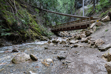 Margaret Falls loop trail with mountain stream near Shuswap lake British Columbia with scenic hiking trail