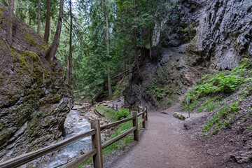 Margaret Falls loop trail with mountain stream near Shuswap lake British Columbia with scenic hiking trail