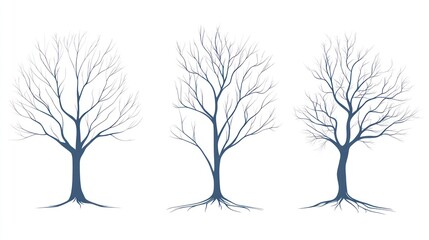Three bare trees, winter scene, white background, nature illustration, website design