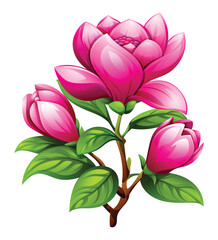 Obraz premium Magnolia branch with multiple pink flowers and buds, surrounded by leaves. Vector cartoon illustration