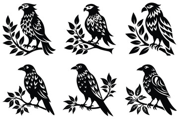 collection of birds