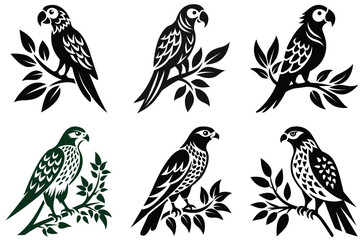 collection of birds