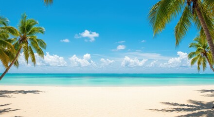 Fototapeta premium Serene tropical beach with palm trees under a clear blue sky