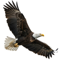 Obraz premium Majestic bald eagle in flight capturing the essence of freedom above a serene landscape in bright daylight