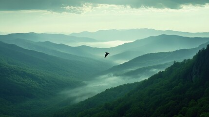 Obraz premium Majestic eagle soars above misty mountain valley at dawn