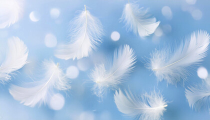 羽根が舞っているキラキラした水色の背景