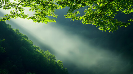 Obraz premium Sunlit Forest Mist: Lush Green Leaves and Light Beams
