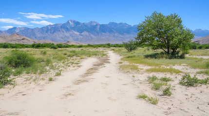 Sandy Path Leading to Distant Mountains Under a Bright Blue Sky on a Sunny Day Exploration