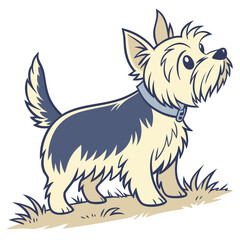 High Quality Yorkshire Terrier Dog Vector Illustration