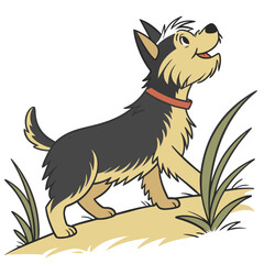 High Quality Yorkshire Terrier Dog Vector Illustration