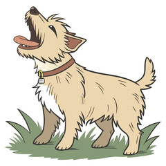 High Quality Yorkshire Terrier Dog Vector Illustration
