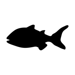 silhouette of a fish