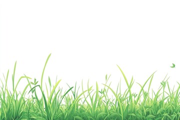 Green spring meadow grass. Fresh color plants, seasonal growth grass, separated botanical elements, herbs. Natural lawn bushes, floral border.