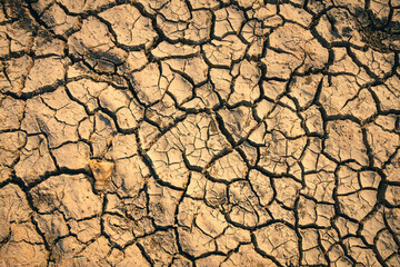 The parched ground reveals the devastating effects of drought in the background.
