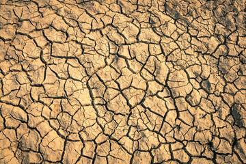 The parched ground reveals the devastating effects of drought in the background.