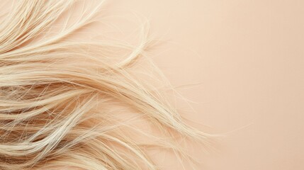 Fototapeta premium Close up view of frayed hair tips with split ends highlighting hair damage and care options for healthier strands. Generative AI