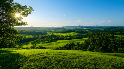 Fototapeta premium Sunlit Green Landscape with Rolling Hills