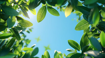 Obraz premium Vibrant Green Leaves Frame a Serene Sky