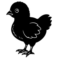 Obraz premium A baby chick 