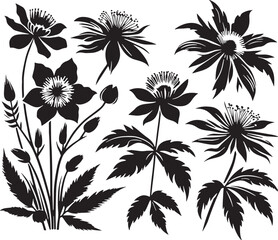 Black Color Rare flowers Silhouette Vector Illustration design, Solid White Background