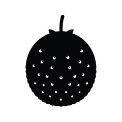 Cupuacu Silhouette Vector Art | Black and White Cupuacu Fruit Illustration Design