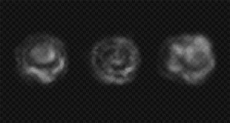 Set of vector white round steam, smoke.
