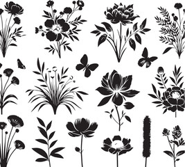 Black Color Specialty Flowers Silhouette Vector Illustration design, Solid White Background