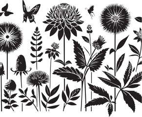 Black Color Specialty Flowers Silhouette Vector Illustration design, Solid White Background