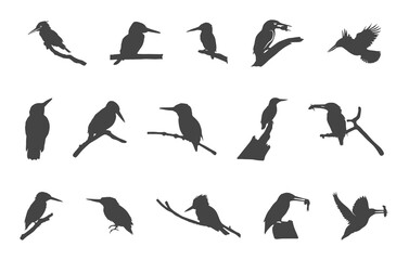 Kingfisher silhouette, Kingfisher svg, Kingfisher clipart, Kingfisher birds silhouette.
