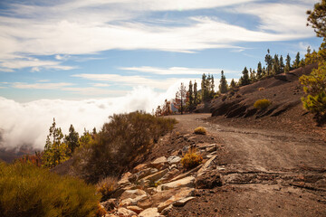 Teide National Park, Teneriffe