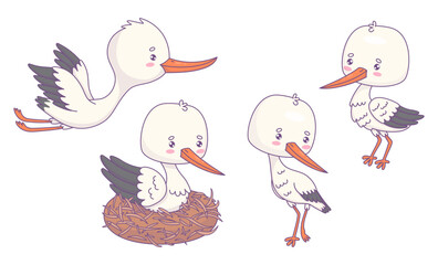 Cute white stork. Isolated funny kawaii bird character in nest, flying and standing. Vector illustration