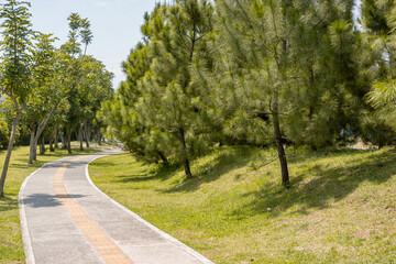 Scenic Curved Pathway Surrounded by Lush Green Pine Trees and Other Vibrant Foliage, Creating a Peaceful and Refreshing Atmosphere.