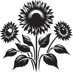 Black Color Sunflowers Silhouette Vector Illustration design, Solid White Background