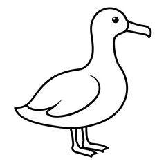 Minimalist Albatross Line Art Vector